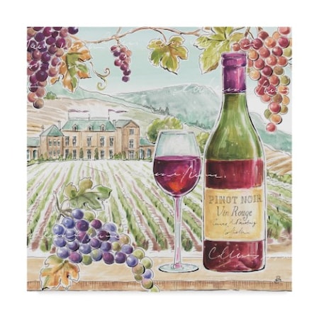 Daphne Brissonnet 'Wine Country Iv Square' Canvas Art,35x35